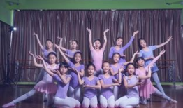 孔雀舞蹈视频,探寻传统与现代交融的艺术魅力